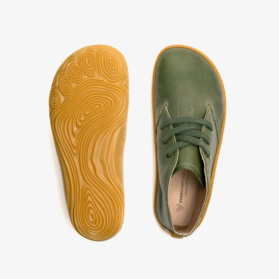 Gobi Addis Kölyök Botanikai zöld